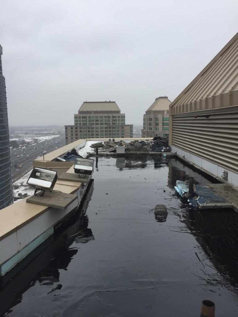 Flat Roof Repair & Waterproofing | Joint Seal Waterproofing